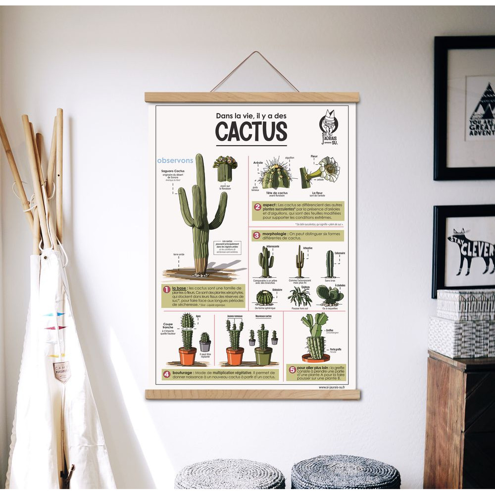 affiche cactus