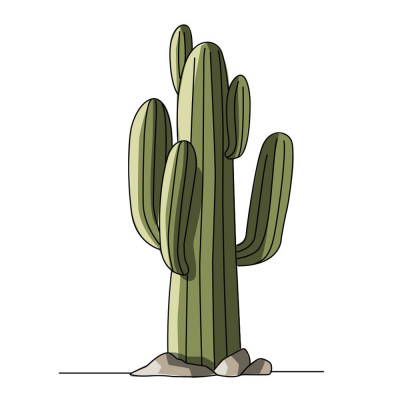 poster ecole cactus